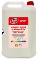 REAL PROFI bathrooms, heavy pollution sanitation, 5L REAL PROFI bathrooms, heavy pollution sanitation, 5L