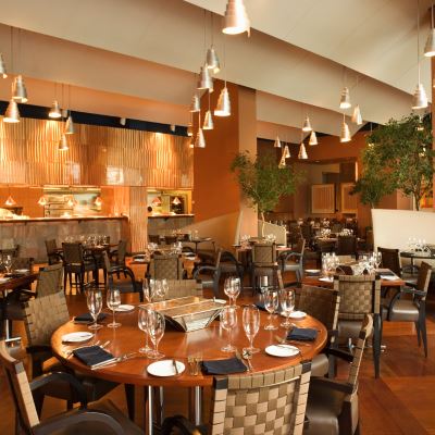 PORTFOLIO | RESTAURANTS, CAFES, HOTELS
