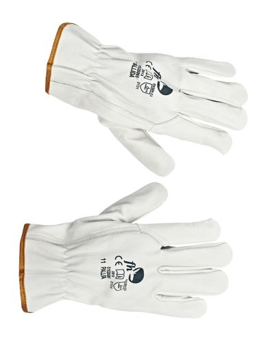 Gloves PALLIDA FH, full leather